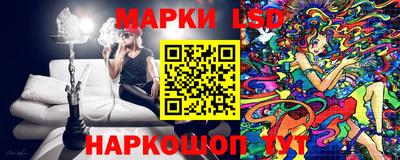 индика Ярославль