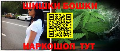 индика Ярославль