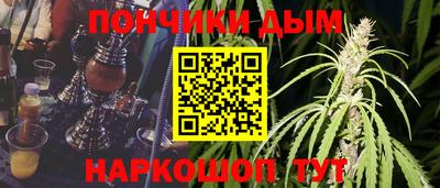 индика Ярославль