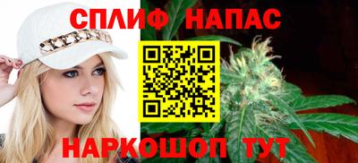 индика Ярославль